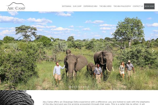 Massive theme site design template sample