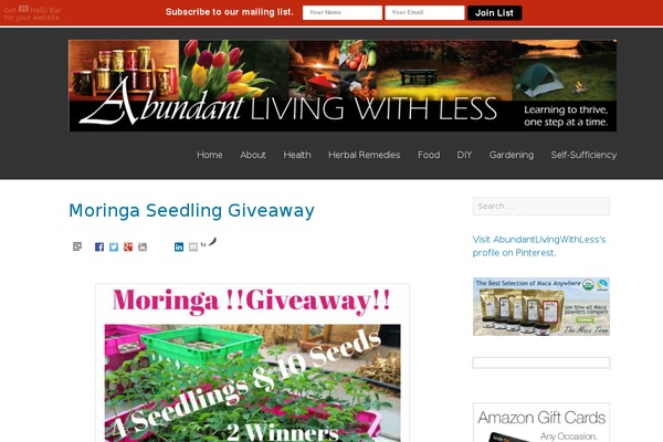 Kirumo theme site design template sample