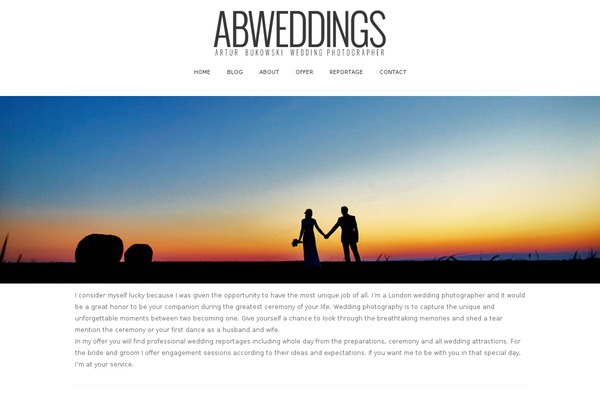 Pilot theme site design template sample