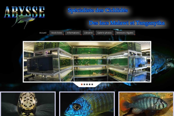 Parabola Child theme site design template sample