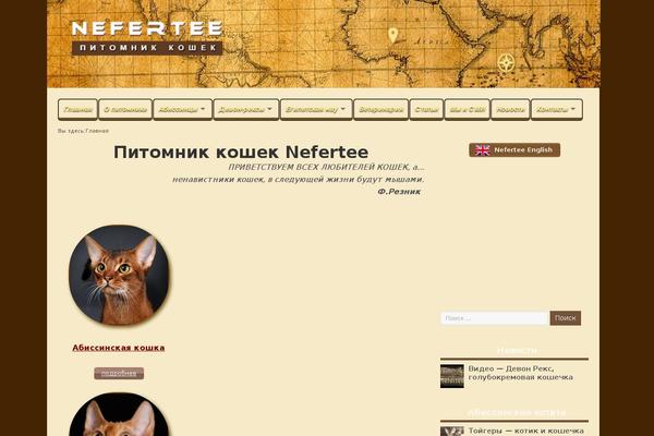Site using Clearfy plugin