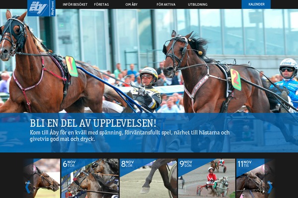 Site using Asynchronous Javascript plugin