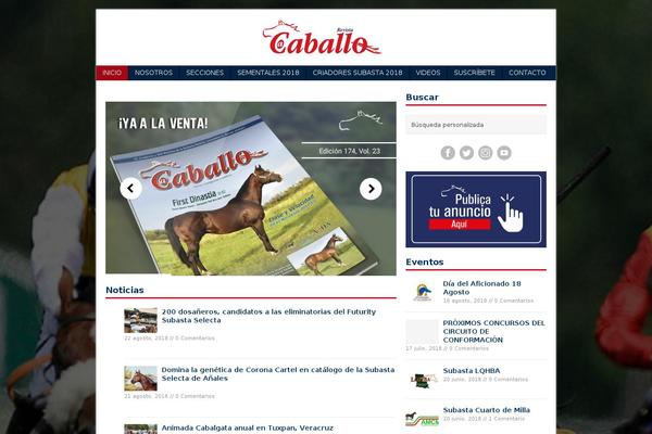 Site using Master Slider - Responsive Touch Slider plugin