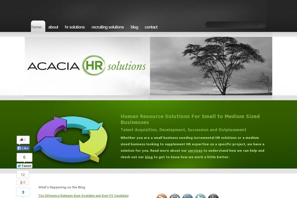Discoverypro theme site design template sample