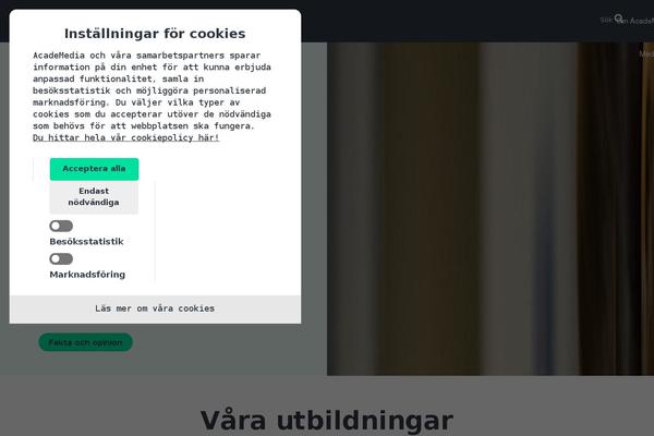 Ams theme site design template sample