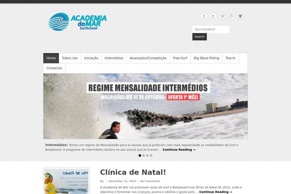 Simple Catch Pro theme site design template sample