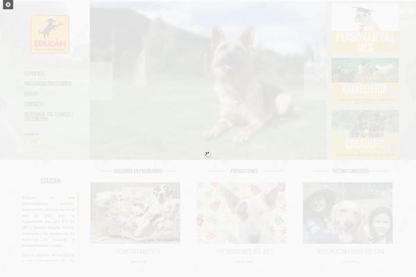 Socha theme site design template sample