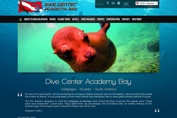 Voyager theme site design template sample