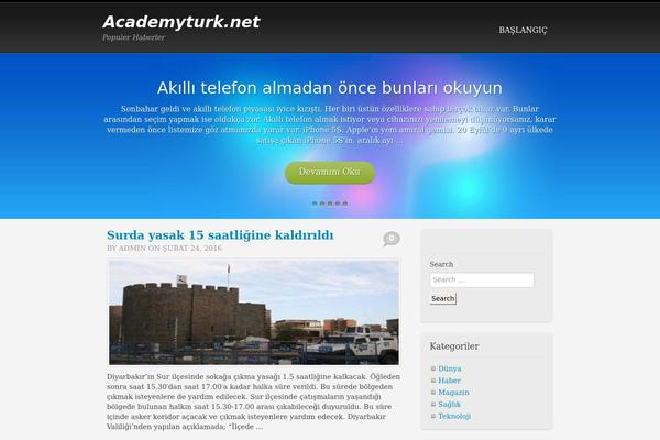 Academy theme site design template sample