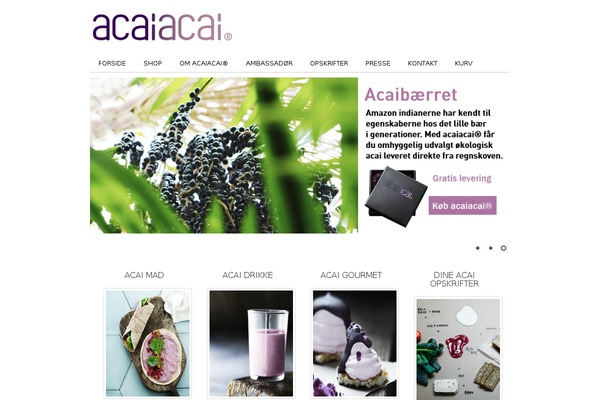 Aca theme site design template sample