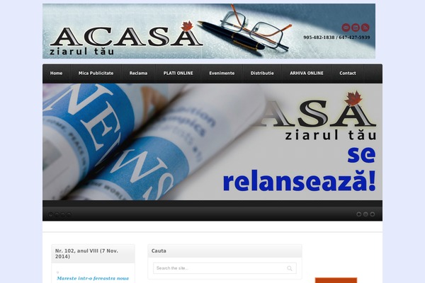 Akita theme site design template sample