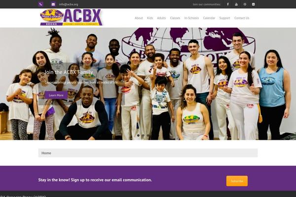 THBusiness theme site design template sample