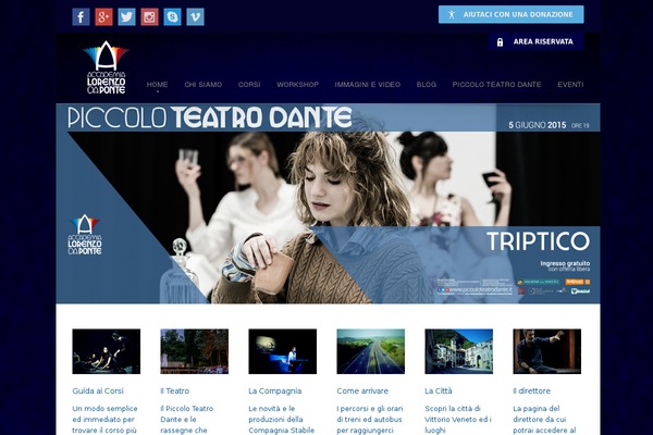 Site using Codetabs plugin