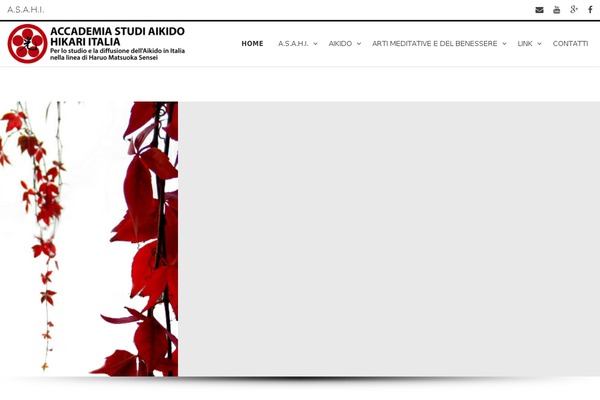 Numberone theme site design template sample