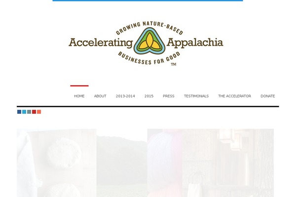 acceleratingappalachia.org site used Enfold-child