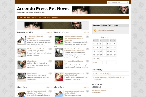 WP-MediaMag theme site design template sample
