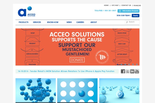 acceo theme websites examples