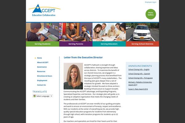 accept theme websites examples