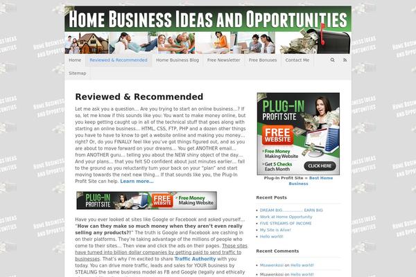 Site using All in One SEO Pack plugin