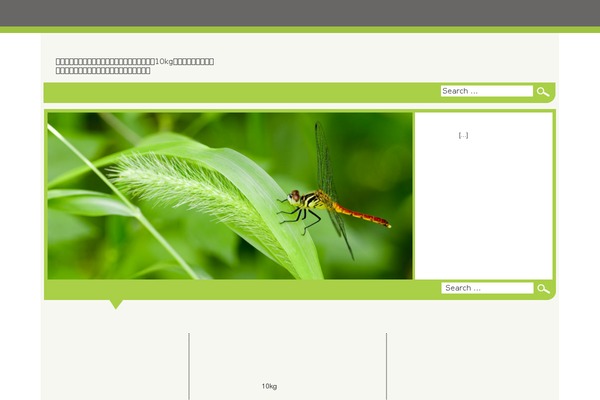 Newlife theme site design template sample