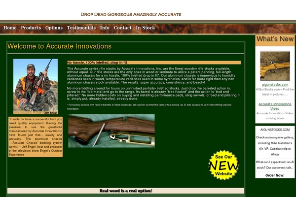 accurateinnovations.com site used Aigunstocks_divi