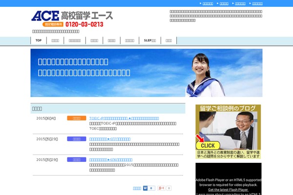 Ace theme site design template sample