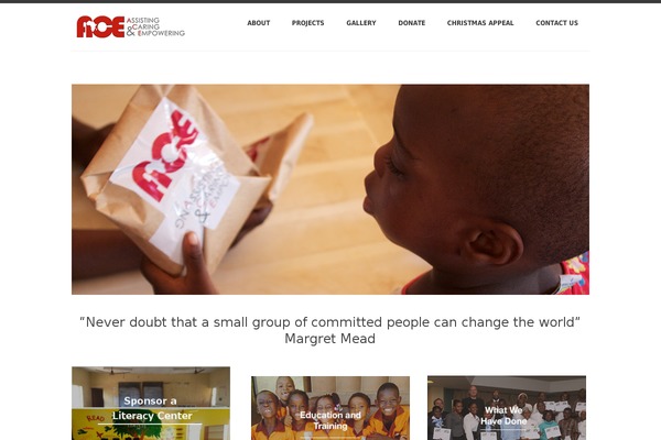 Ace theme site design template sample