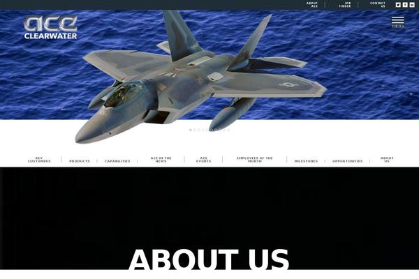 aceclearwater.com site used Ace-website