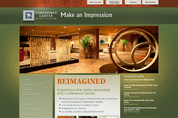 Ace theme site design template sample