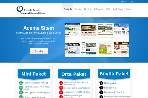 acentesitem.com site used wColor