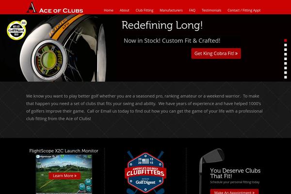 Ace theme site design template sample