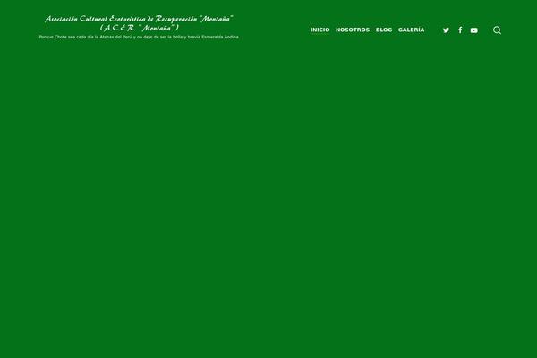 Site using Conveythis-translate plugin