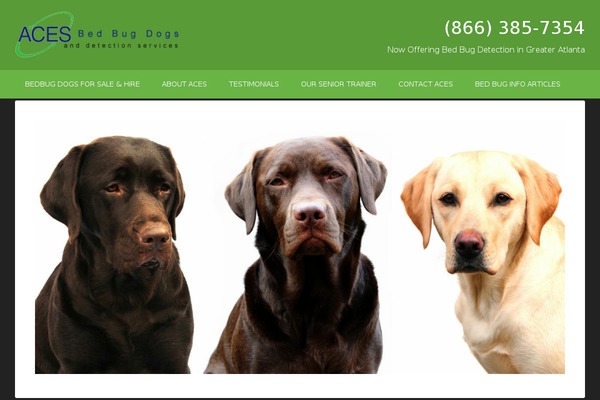 Outreach Pro theme site design template sample