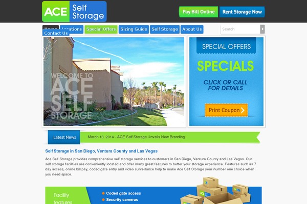 ACE-theme theme websites examples