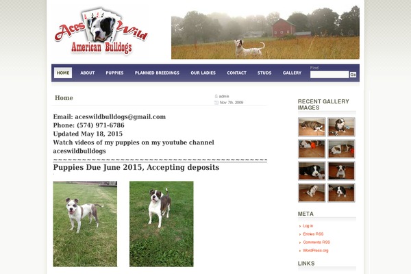 Terrafirma theme site design template sample