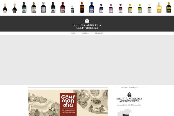 acetomodena.it site used Amv_1.0