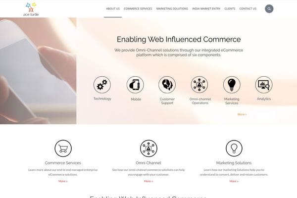 aceturtle.com site used Ace_turtle