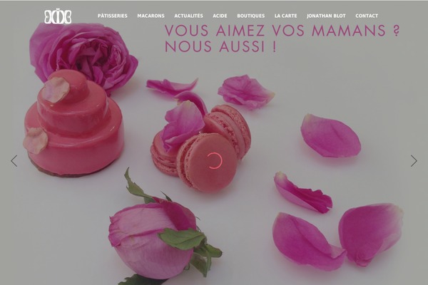 Elision theme site design template sample