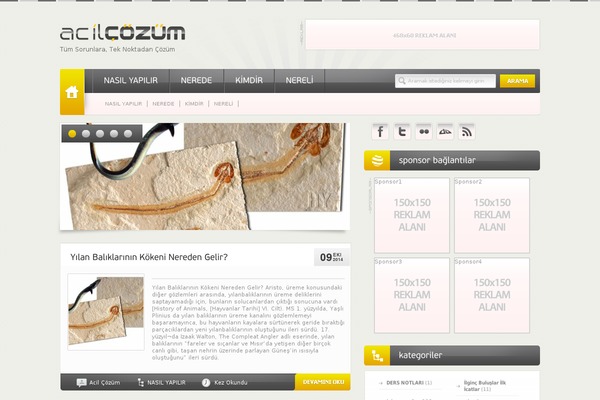 Trendblog theme site design template sample