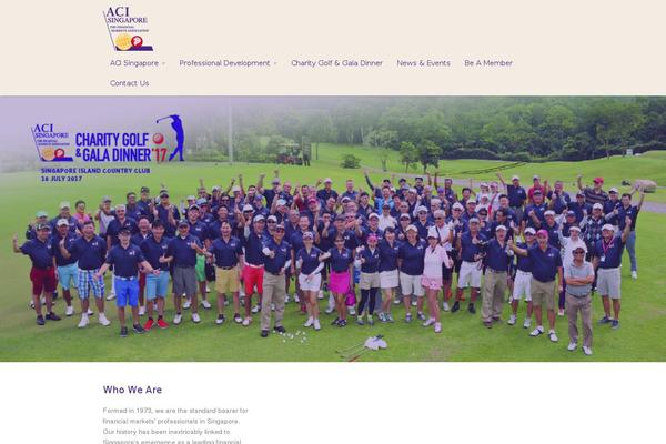 Metrolium theme site design template sample
