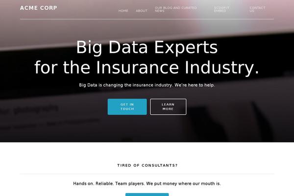 Altitude Pro theme site design template sample