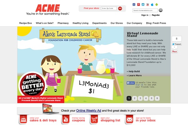 acme theme websites examples