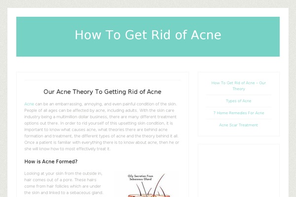 Lifestyle Pro theme site design template sample