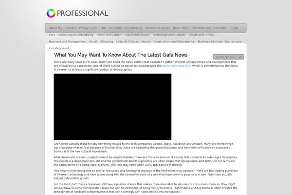 TheProfessional theme site design template sample