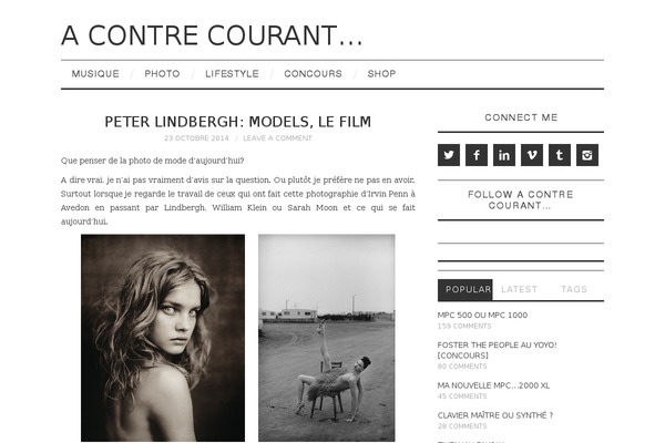 Fashionistas theme site design template sample