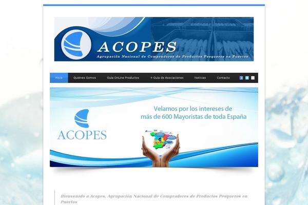 Blue Diamond v1.05 theme site design template sample