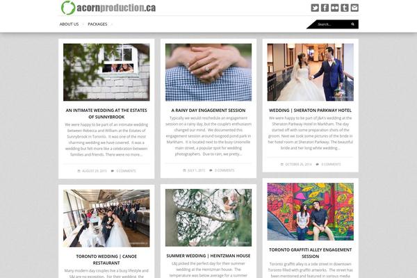 Fashionista theme site design template sample