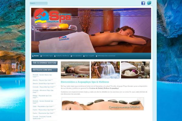 Spasaloon theme site design template sample