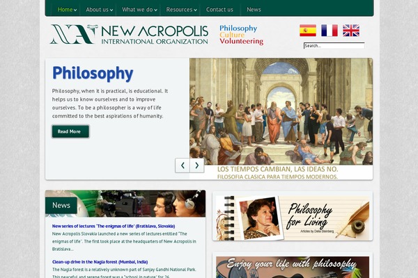 Mandigo theme site design template sample