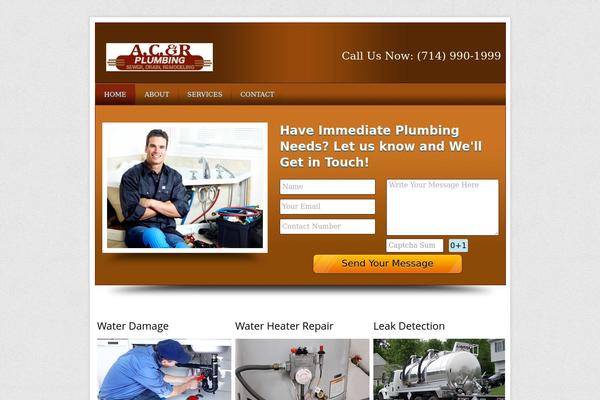 Local Business theme site design template sample